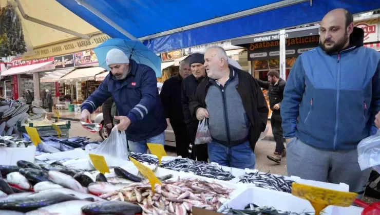 Hamsi Fiyatları Patladı
