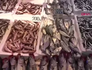 Hamsi Tezgahlarda, Fiyatlar Uygun