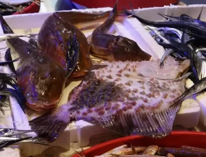 Hamsi Tezgahlarda Yerini Aldı