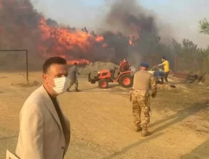 Harlısu’da Yangın 4 Evi Tehdit Etti