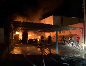 Hatay’da Lastikçide Yangın