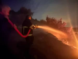 Hatay’da Orman Yangını: 5 Hektar Zarar Gördü