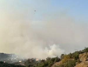 Hatay’da Orman Yangını Kontrol Altına Alınıyor