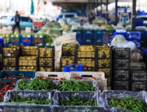 Hava muhalefeti tarlaları vurdu: Sebze fiyatları artacak