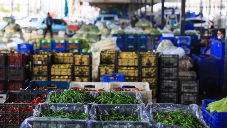 Hava muhalefeti tarlaları vurdu: Sebze fiyatları artacak