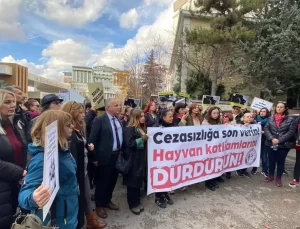 Hayvan Hakları Merkezi’nden Protesto