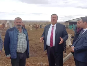 Hayvancılıkta Çiftçi Sorunları