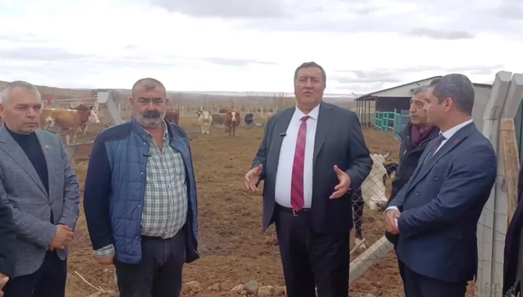 Hayvancılıkta Çiftçi Sorunları