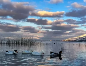 Hazar Gölü Kış Manzarasıyla İlgi Çekiyor
