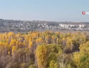 Hevsel Bahçeleri’nde Sonbahar Renkleri