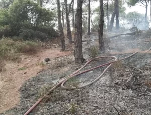 Heybeliada’da Orman Yangını Kontrol Altına Alındı