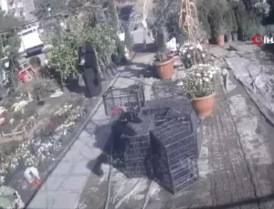 Hırsızlar Utanmıyor, Biz Utanıyoruz