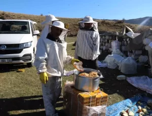 Hizan’da Karakovan Balı Hasadı Devam Ediyor