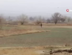 İki Kaçak Göçmen Yakalandı