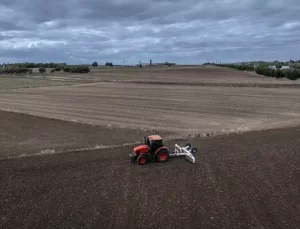 İkiz Kardeşler Çiftçiliği Seçti