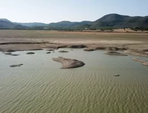 İklim Değişikliğine Karşı Acil Önlemler