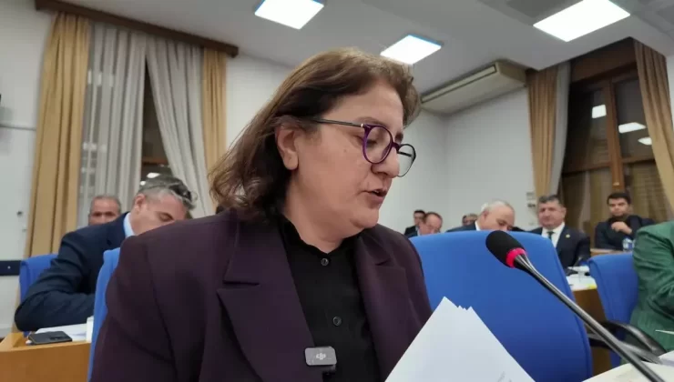 İliç’teki Maden Faciasına Tepki