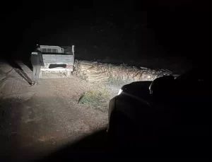 İnebolu’da Kaçak Odun Hırsızı Yakalandı