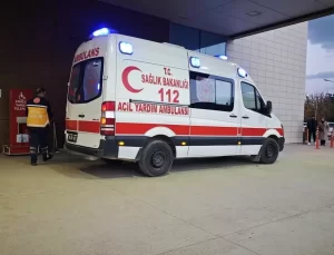 İnegöl’de Ağaçtan Düşen Yaşlı Adam Yaralandı