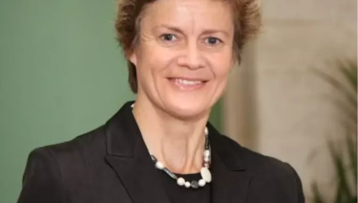 İngiltere BMGK Dönem Başkanlığını Devraldı