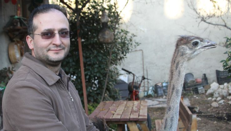 Isparta’da deve kuşu satışı: “Sıfır telefonla takas edilir”