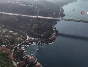 İstanbul Boğazı’nda Denizanası İstilası: Milyon Dolarlık Yalıların Önünü Kapatıyor