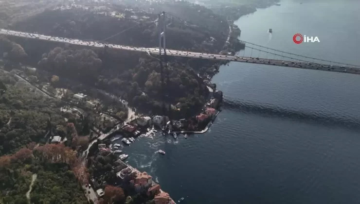 İstanbul Boğazı’nda Denizanası İstilası: Milyon Dolarlık Yalıların Önünü Kapatıyor