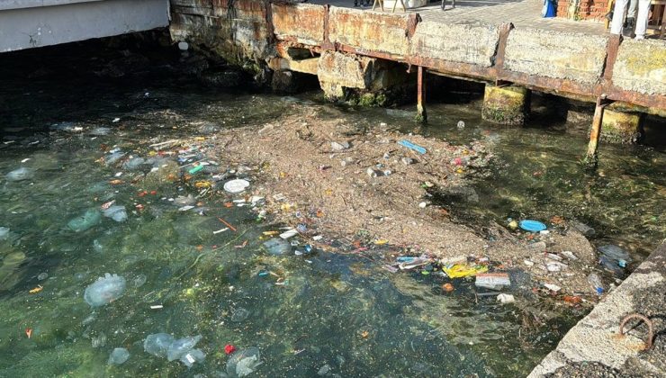 İstanbul Boğazı’nda kirlilik: Çöpler kıyıya vurdu