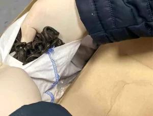 İstanbul Havalimanı’nda Yasa Dışı Sülük Ele Geçirildi