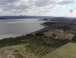 İstanbul’da Aile Katliamı Detayları Ortaya Çıktı