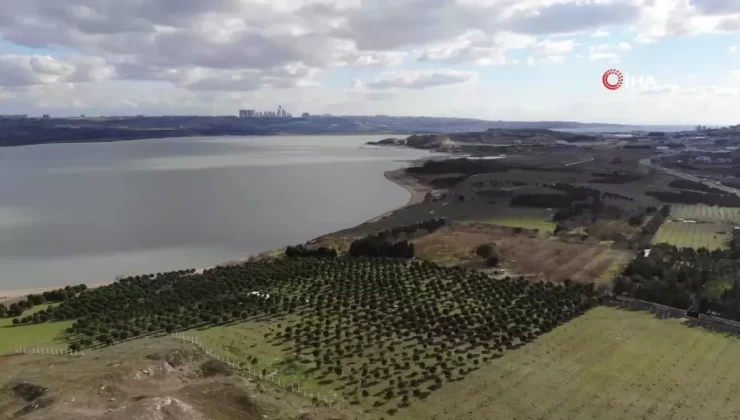 İstanbul’da Aile Katliamı Detayları Ortaya Çıktı