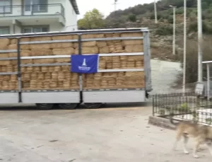 İzmir Büyükşehir Belediyesi’nden Yangın Mağduru Çiftçilere Yem Desteği