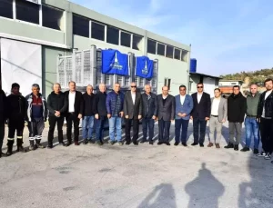 İzmir Büyükşehir Belediyesi’nden Zeytin Üreticilerine Destek: Kasa Dağıtımı