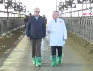 İzmir Hastalıktan Ari İşletmeleri Teşvik Ediyor