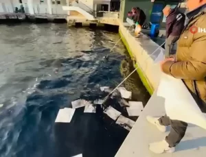 İzmir Körfezi’nde Petrol Kaynaklı Kirlilik: Deniz Yüzeyi Yağ Tabakası ile Kaplandı