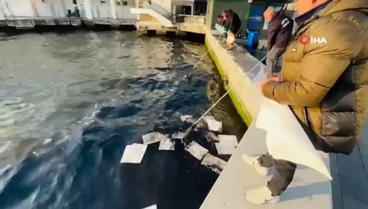İzmir Körfezi’nde Petrol Kaynaklı Kirlilik: Deniz Yüzeyi Yağ Tabakası ile Kaplandı