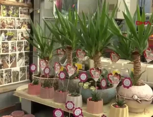 İZMİR Öğretmenler için özel gençlerden özel çiçekler