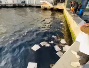 İzmir’de Deniz Kirliliği İçin Temizlik Çalışmaları Başlatıldı