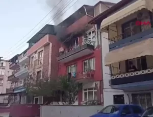 İzmit’te Elektrik Sobası Yangın Çıkardı, İtfaiye Kediyi ve Köpeği Kurtardı