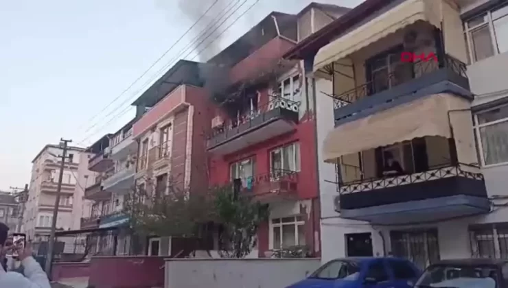 İzmit’te Elektrik Sobası Yangın Çıkardı, İtfaiye Kediyi ve Köpeği Kurtardı