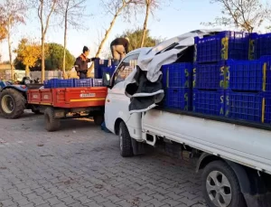 İznik’te Zeytin Üreticileri Uzun Kuyrukta