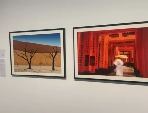 İzzet Keribar’ın Renklerin Yolculuğu Sergisi