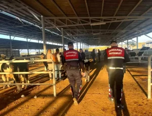 Jandarma Çine’de Dolandırıcılık Uyarısı Yaptı