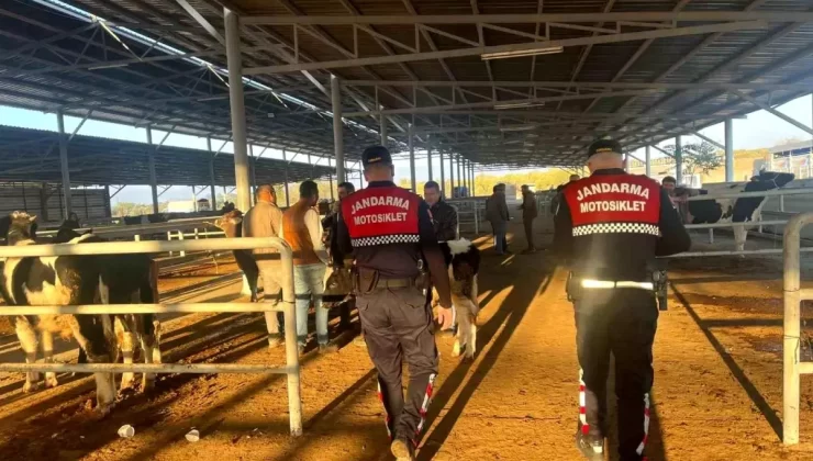 Jandarma Çine’de Dolandırıcılık Uyarısı Yaptı