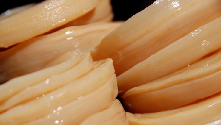 Japonya’da ilaç olarak kullanılıyor: Kalbi koruyor, damarlardaki yağı temizliyor