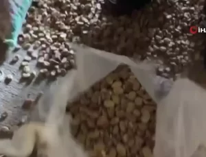 Kaçakçılığa Büyük Darbe: 120 Milyonluk Eşya ve Uyuşturucu Ele Geçirildi