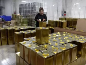 Kadın Girişimci Zeytinyağı Tesisi Kurdu