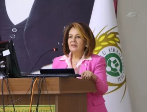 Kadına Yönelik Şiddette Türkiye OECD Birincisi