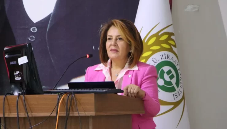 Kadına Yönelik Şiddette Türkiye OECD Birincisi