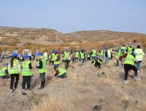 Kahramankazan’da Ağaçlandırma Etkinliği